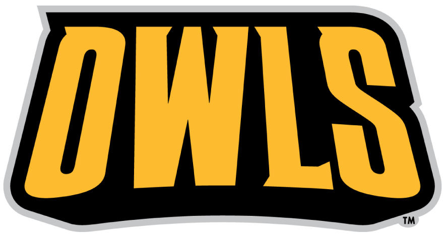Kennesaw State Owls 2012-Pres Wordmark Logo iron on transfers for fabric